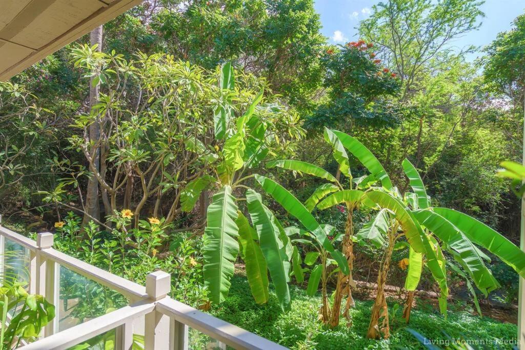 Tiki Tiki - Gorgeous Boho Beach Hideaway! ワイレア エクステリア 写真